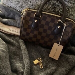 Louis vuitton Damien ebene canvas speedy 30